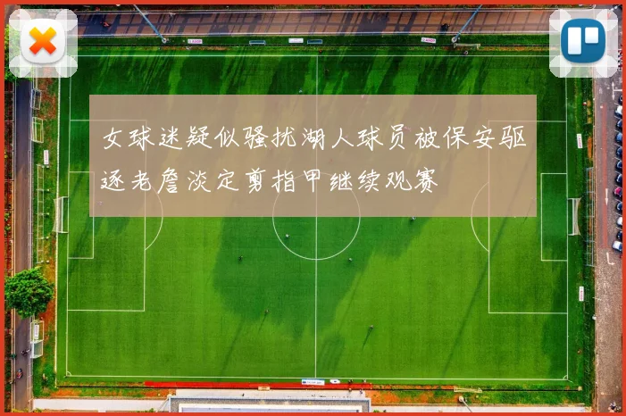 女球迷疑似骚扰湖人球员被保安驱逐老詹淡定剪指甲继续观赛