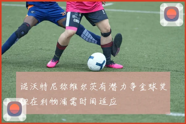 诺沃特尼称维尔茨有潜力争金球奖但在利物浦需时间适应