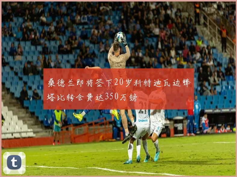 桑德兰即将签下20岁科特迪瓦边锋塔比转会费达350万镑